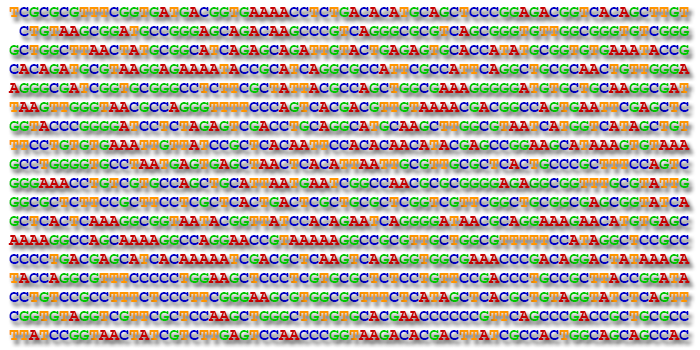 Image Type: DNA sequence